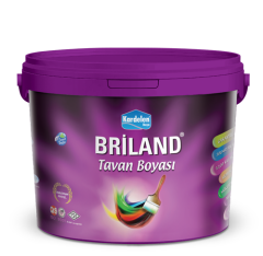 Briland Tavan Boyası Ekstra Kalite