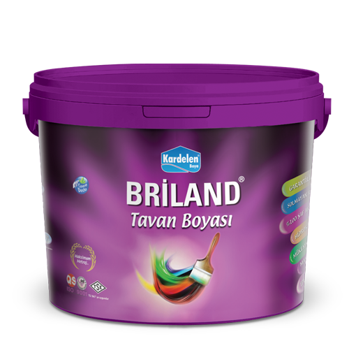 Briland Tavan Boyası Ekstra Kalite